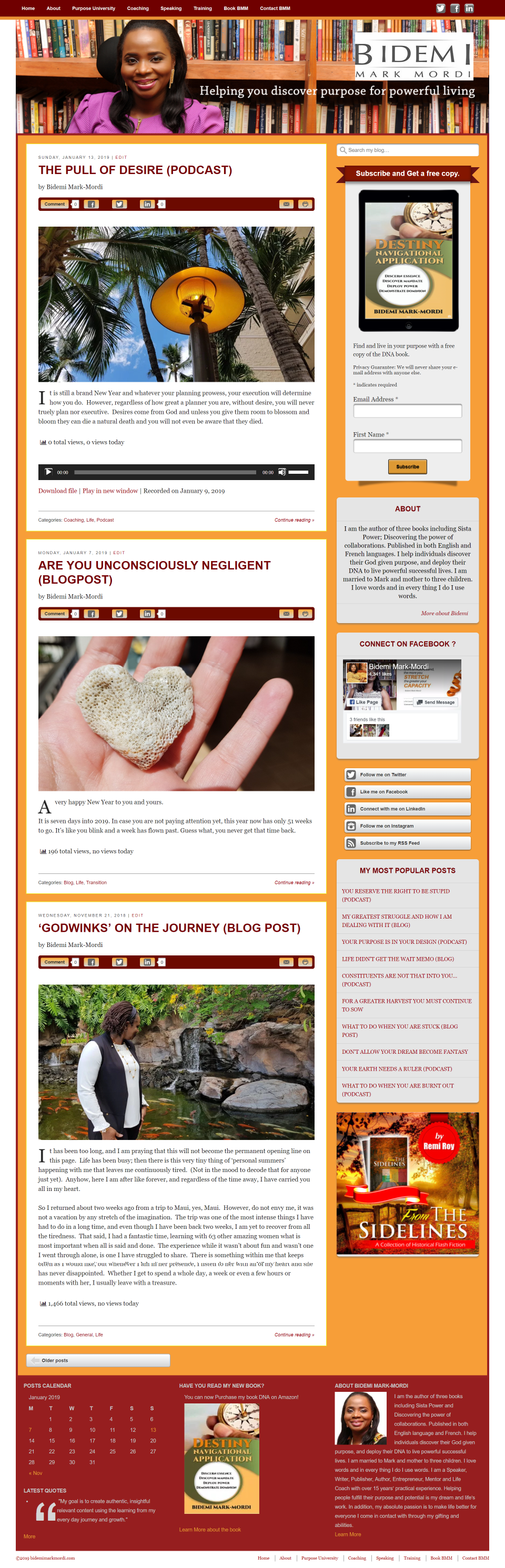 Ogenna Odebeatu BMM Website Before redesign