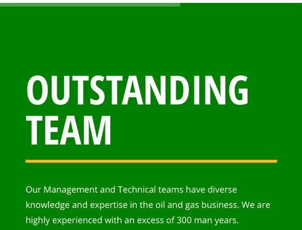 Ogenna Odebeatu Designed Emerald Energy website Featured Image